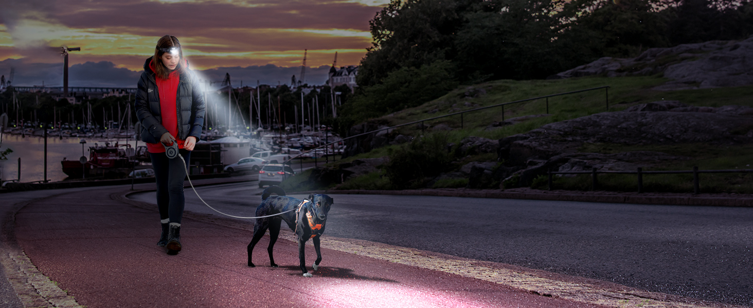headlamp for dog walking