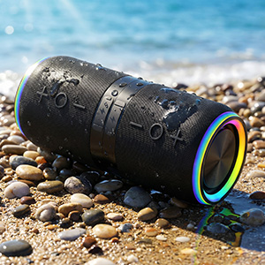 speaker