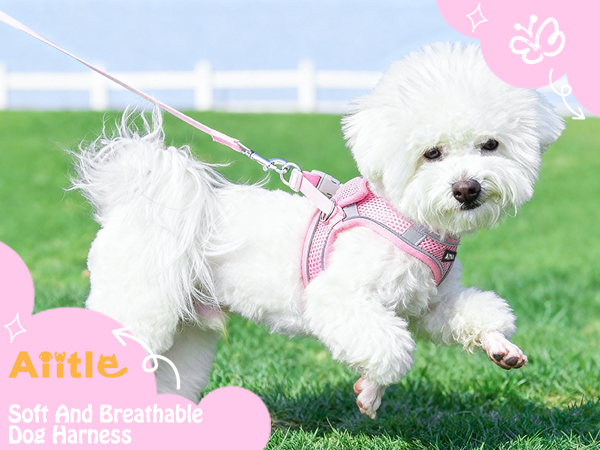 AIITLE No Pull Dog Harness and Leash Set