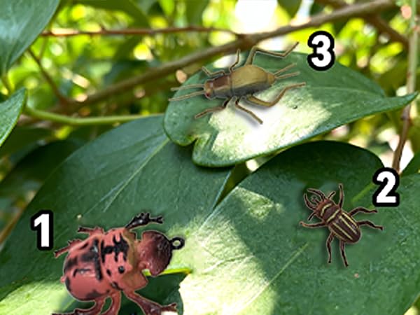 30bug