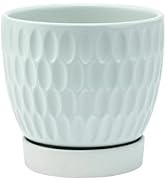 Napco Textured Honeycomb Pattern 5.5 x 5.5 x 5 inches Seafoam Green Ceramic Flower Succulent Plan...