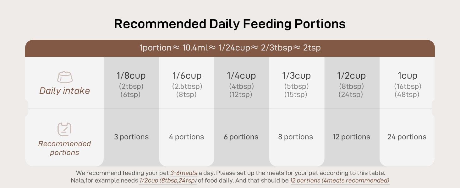 timed auto cat feeder