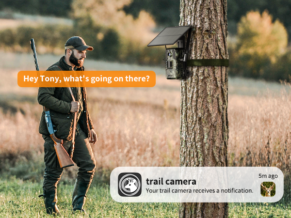 live feed trail camera