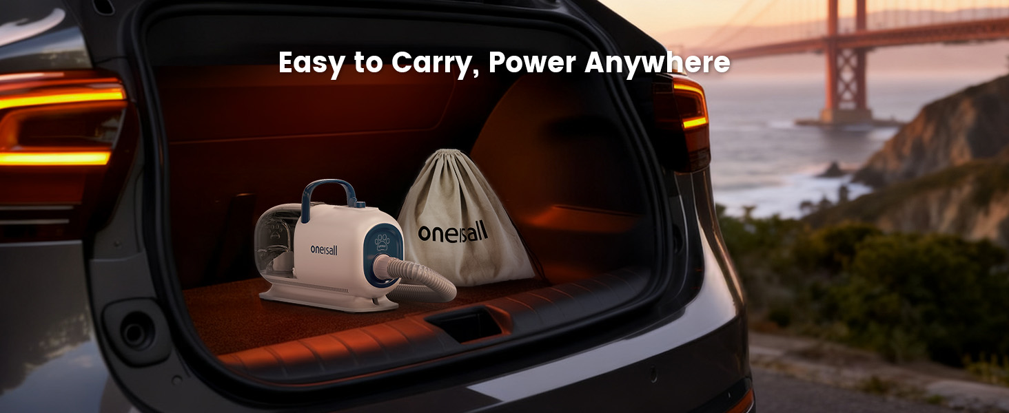 portable