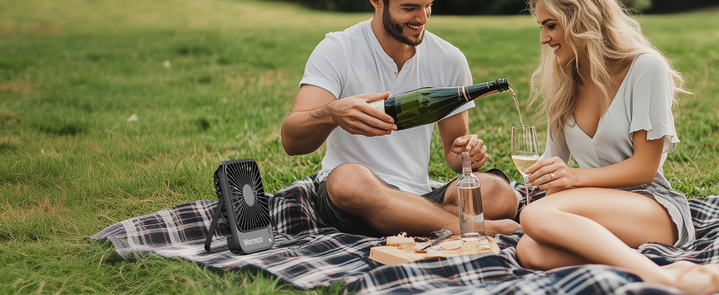 Outdoor picnic scene on plaid blanket with wine and glasses in a grassy setting.