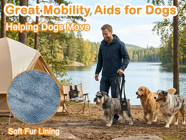 Great Mobility Aids for Dogs