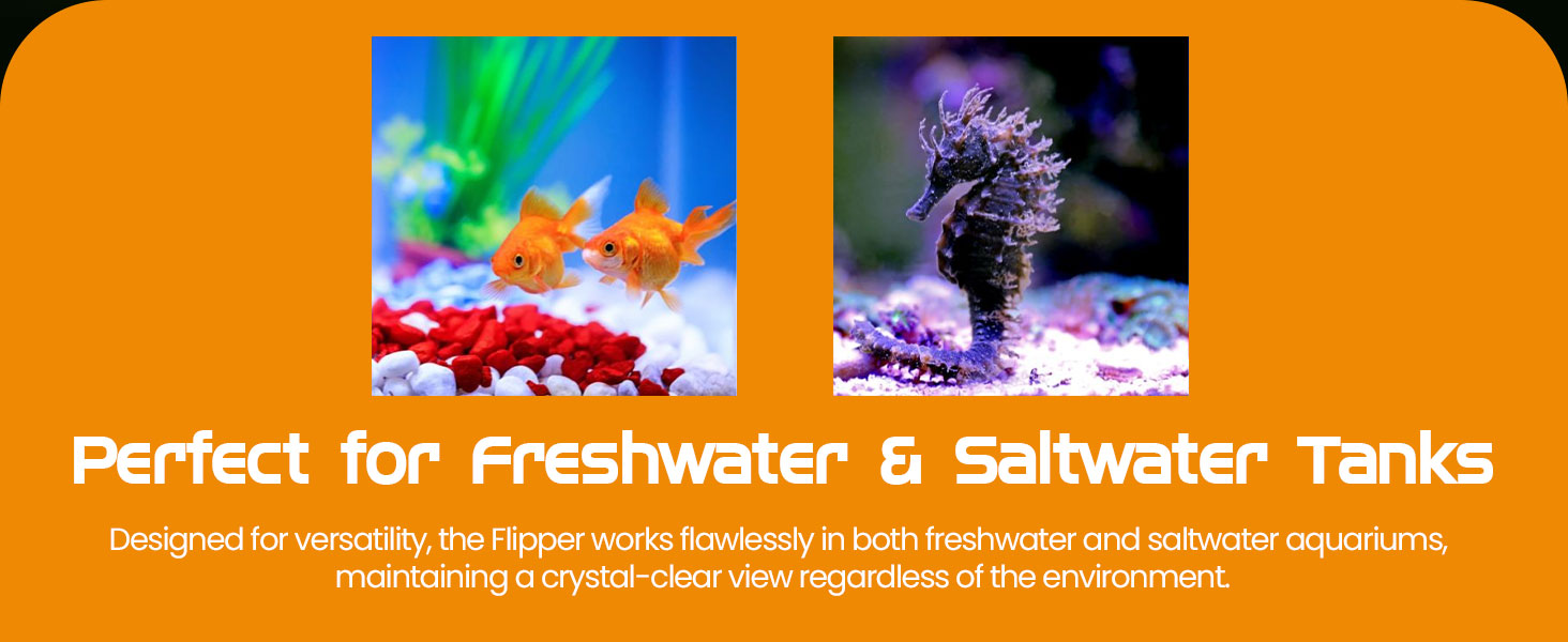 brown algae remover aquarium fish tank cleaner for scraper alge scrubber coralline aquariums