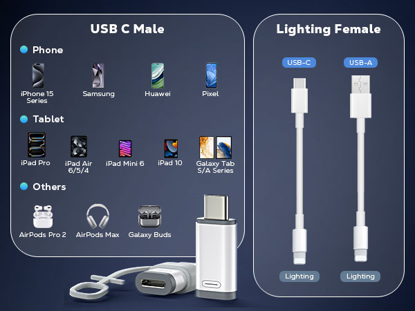 lighting female to usb c male adapter