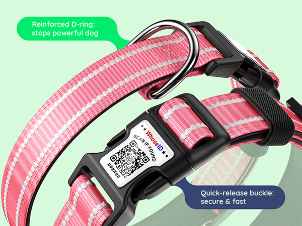 Dog collar