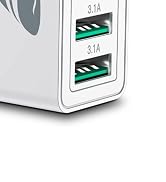Aioneus