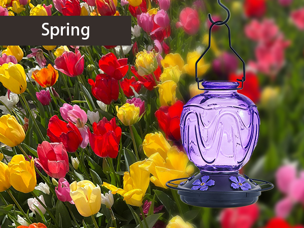 hummingbird feeders for outdoors