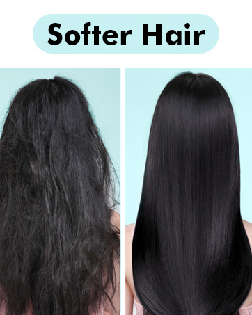 filtered shower head