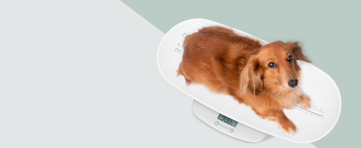 Momcozy Baby Scale for Toddler, Children, Pet, Adult