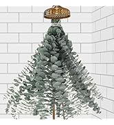 11 PCS Dried Preserved Eucalyptus Bundle for Shower-17'' Real Large Dried Eucalyptus Stems Shower...