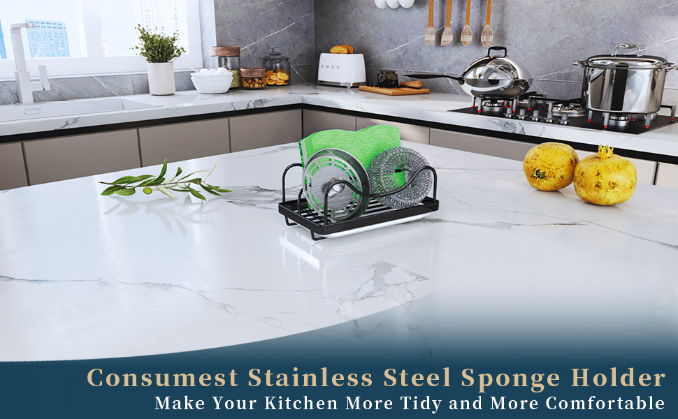 sponge holder for kitchen sink caddy organizer sponge holder caddy organizer