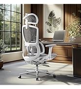 Hbada E2 Ergonomic Office Chair, Big and Tall Mesh Office Chair with 6-Way Dynamic Lumbar Support...