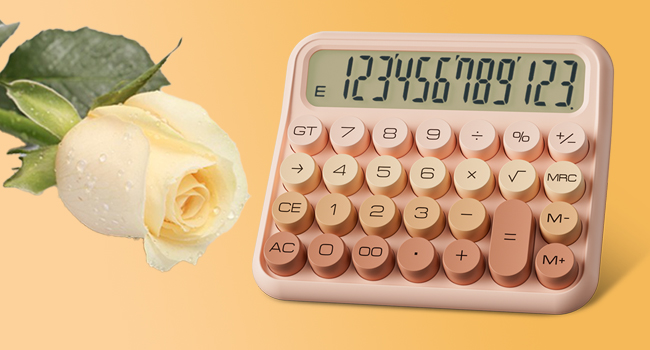 inspired by champagne rose