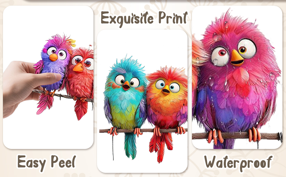 GA-Colorful Birds Vinyl Decals