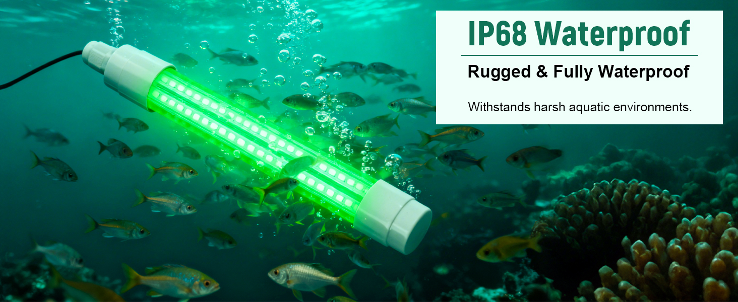 Underwater Fish Light