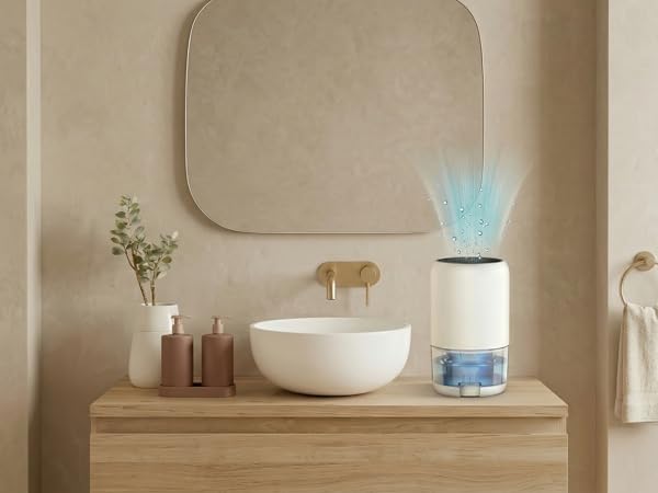Versatile dehumidifier for living room bedroom bathroom and RV camper condensation.
