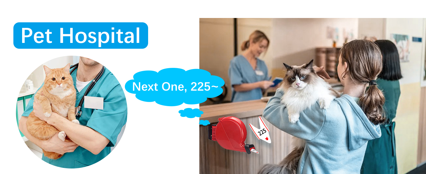pet hospital