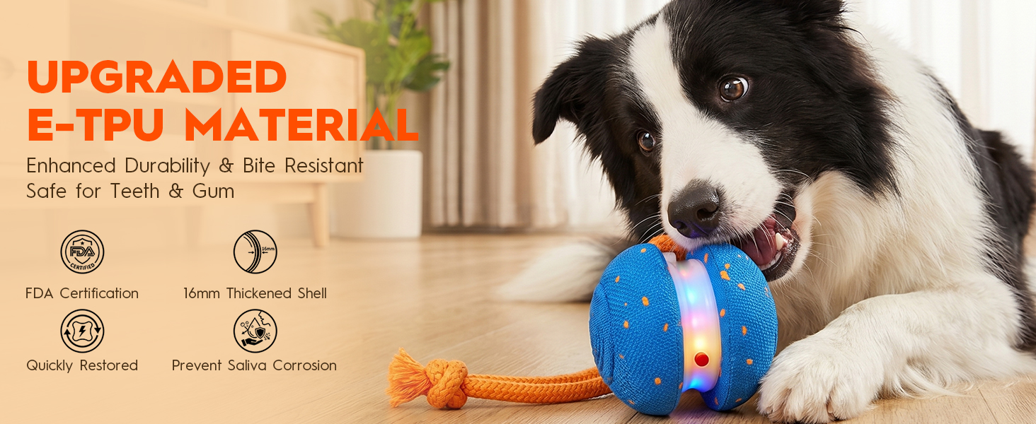 Interactive Rolling Dog Balls