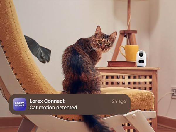 Smart AI Detection