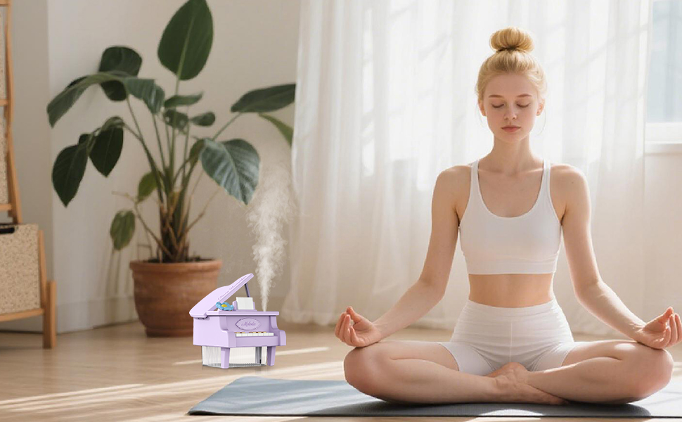 The portable humidifier