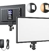 RALENO 19.5W LED Video Soft Light Panel, 650Lux/m Camera Panel Light Built-in 2* 4000mAh Batterie...
