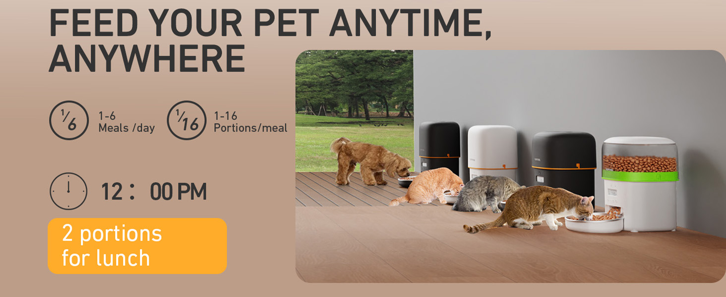 autoamtic cat feeder automatic cat food dispenser pet feeder