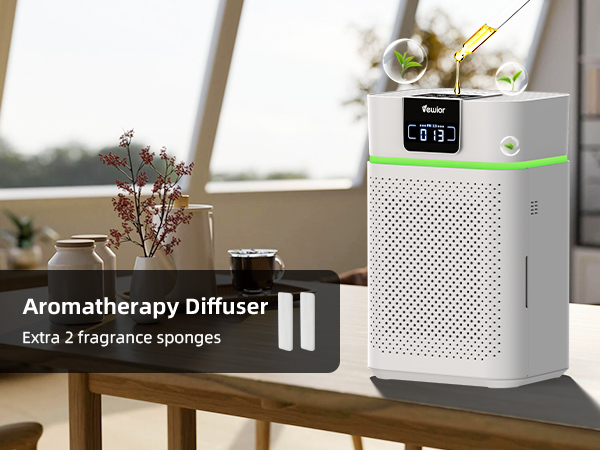 air purifier for mold