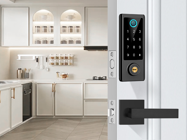 smart door lock