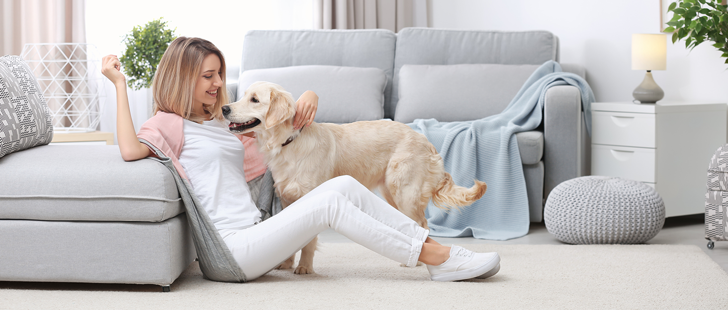 Mini Broom and Dustpan Set