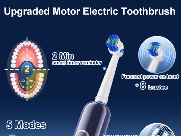 Electric Toothbrush for Adults