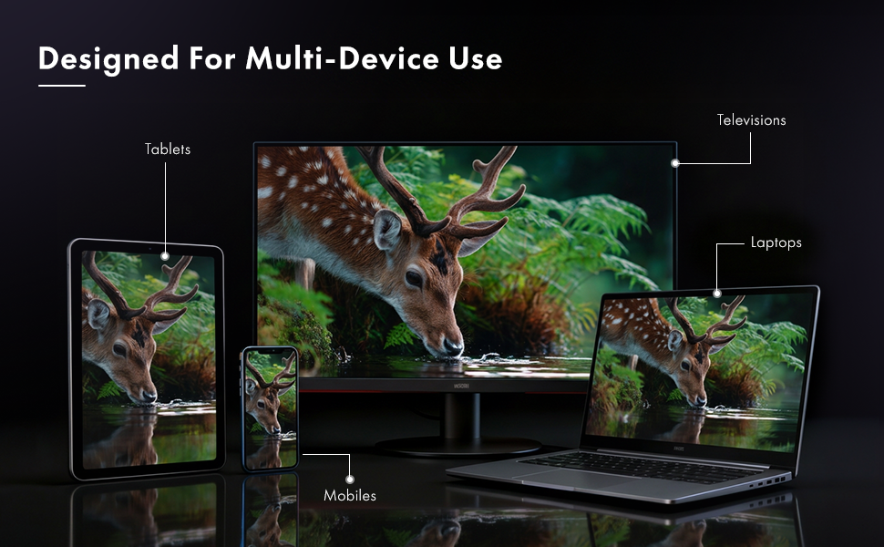 Wozoyo Type C to HDMI