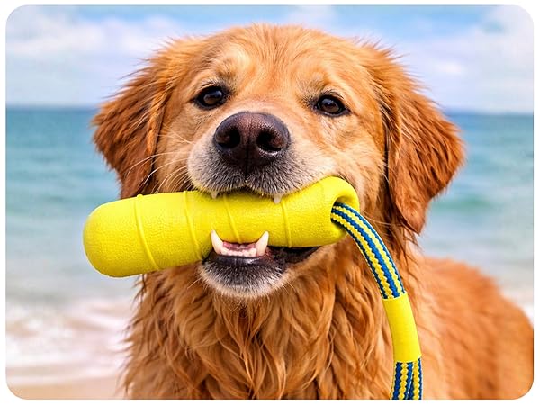 german shepherd retriever toys tug boat toy chase toys for dogs dog water toy flotador para perros