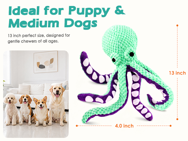 small dog toys