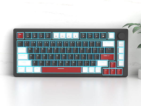 Vibrant Ice Blue Backlit