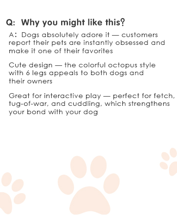 Squeaky dog toys