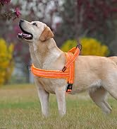 Didog Soft Flannel Padded Dog Vest Harness, No Pull/Quick Fit Reflective Dog Strap Harness, Easy ...