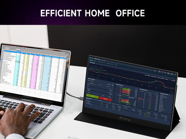 the portable monitor