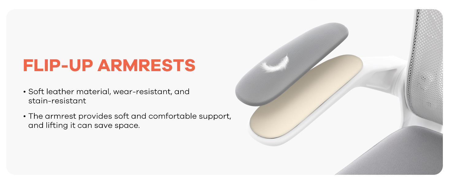 Ergonomic Office Chair