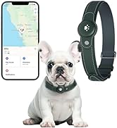 2-in-1 GPS Tracker for Dogs&amp;Cats : Smart Collar with Real-Time Location, No Monthly Fee, Unlimite...