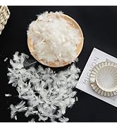 ROSE FEATHER Bulk White Goose Duck Down Feathers Filling, Down Feathers for Stuffing Pillows, Cou...