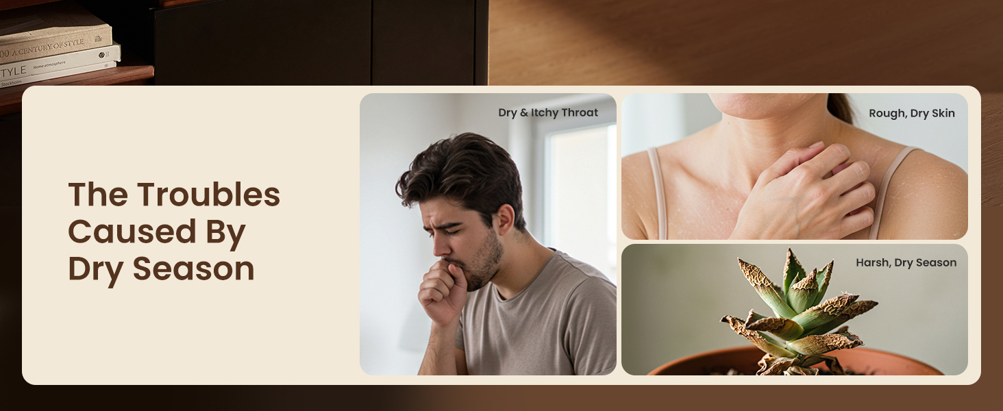 Humidifier Large Room