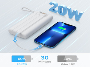 20W USB C Cable