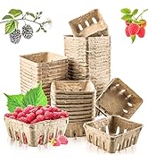 Vmiapxo 50 Pack Natural Pulp Fiber Berry Basket, Small Farmers Market Display Produce Baskets, Ve...