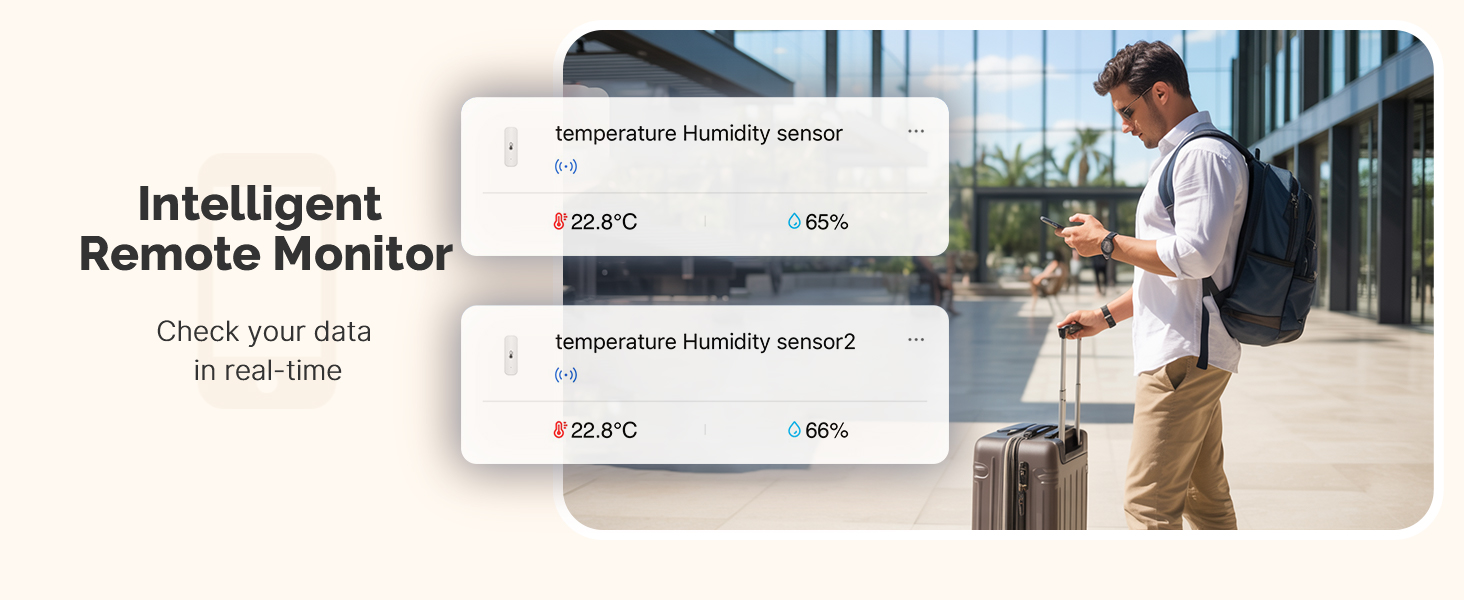 smart room thermometer indoor