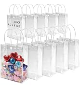 MAQIHAN 10 PCS Clear Goodie Bags with Handles - Plastic Party Favor Bag Reusable Transparent PVC ...