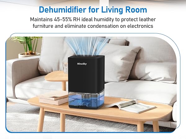 Dehumidifier